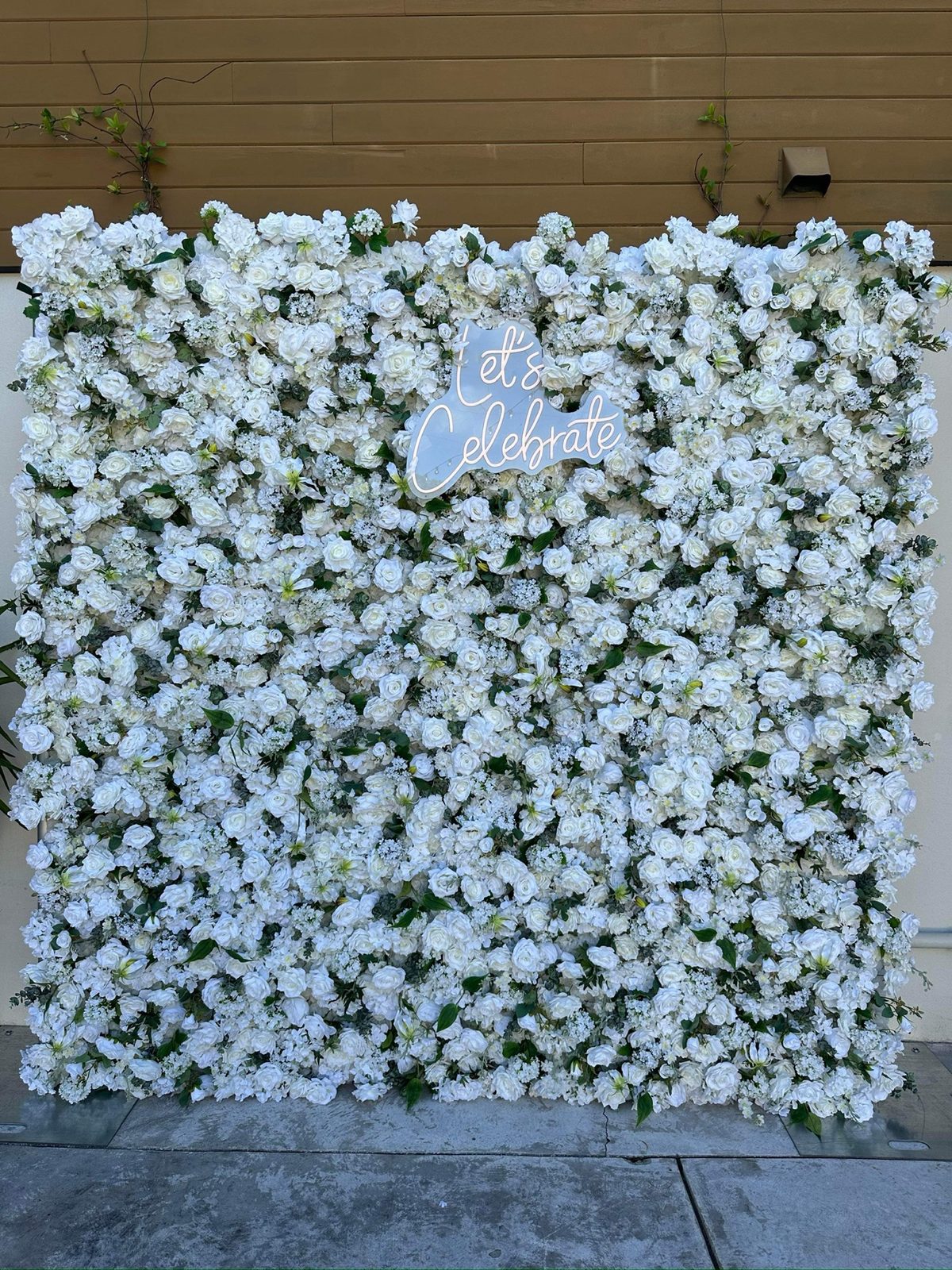 The White Rose flower wall with white flowers and green foliage